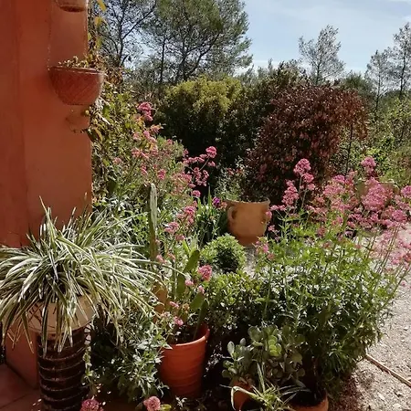 D'hôte Des Romarins * Les Arcs-sur-Argens